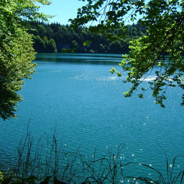 EN AUVERGNE, VOUS PROFITEZ DU PLAISIR, DE LA CONVIVIALITÉ, DE LA DÉTENTE ET ... BIEN PLUS!