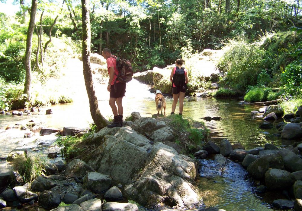 activités et loisirs en auvergne